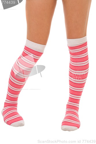Image of woman legs in color pink socks isolated 