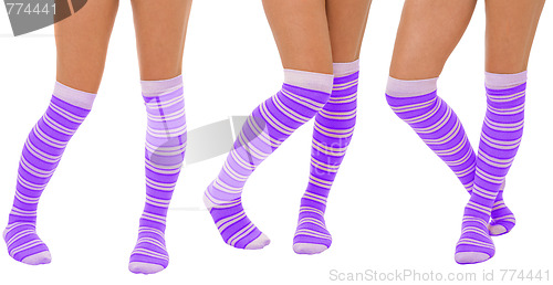 Image of Pairs of women legs in purple socks