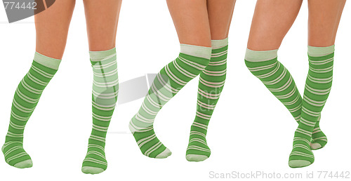 Image of Pairs of women legs in green socks