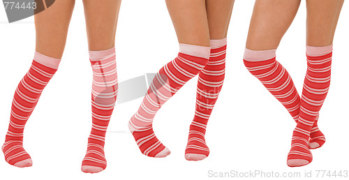 Image of Pairs of women legs in red socks