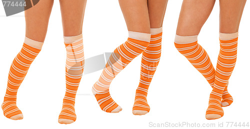 Image of Pairs of women legs in orange socks