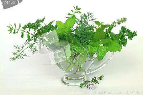 Image of Green herbs