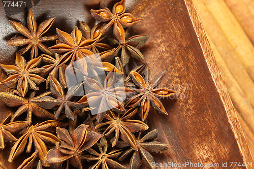 Image of Star aniseed