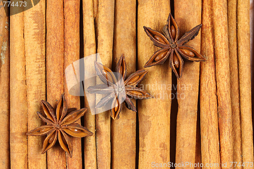 Image of Cinnamon and aniseed