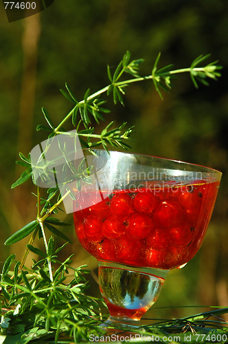 Image of Red Current in the Glass Of Wine