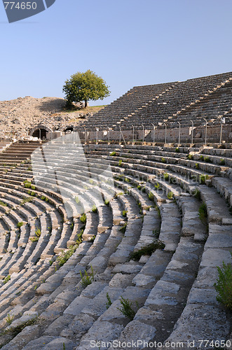 Image of Rows Of Ancient Theater