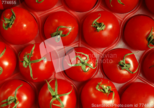 Image of Tomatoes In The Crate