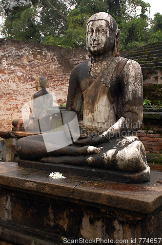 Image of Two Seated Buddhas In The Rain