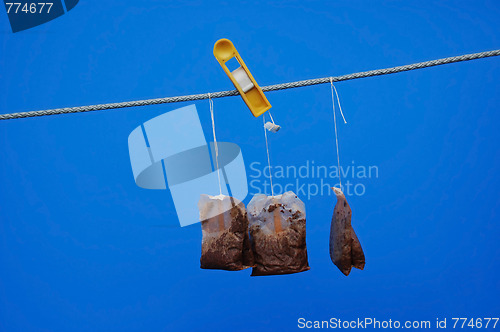 Image of Used Tea Bags In The Sun