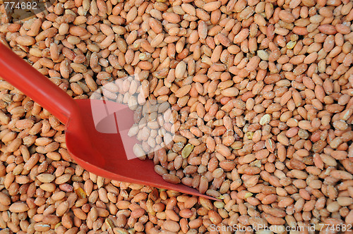 Image of Salted Peeled Peanuts And Scoop