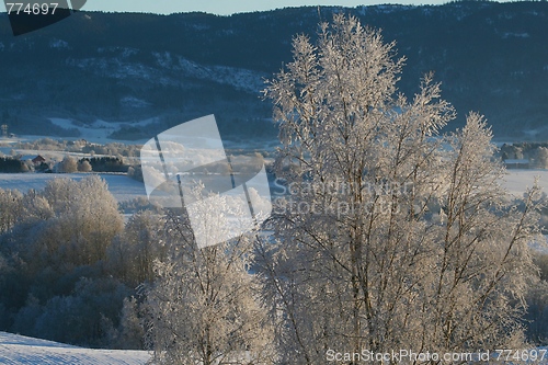 Image of Winter landscape