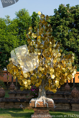 Image of Tree with golden leaves