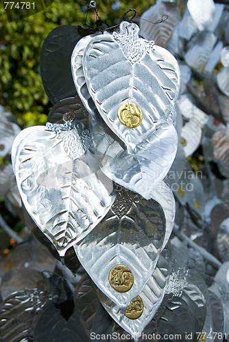 Image of Detail of tree with silver leaves