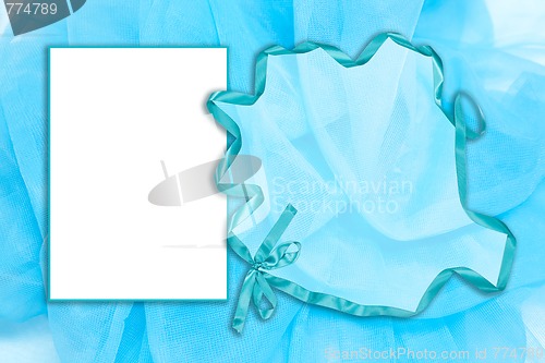 Image of Blue Tulle Frame