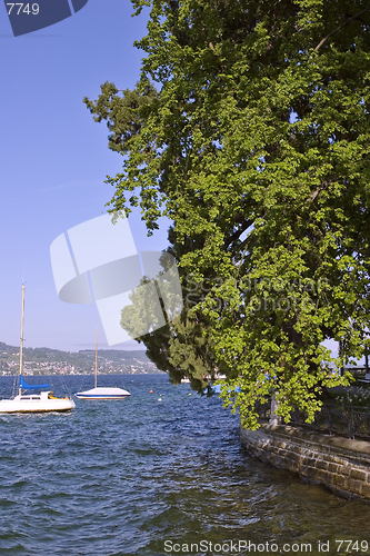 Image of Zurich Lake