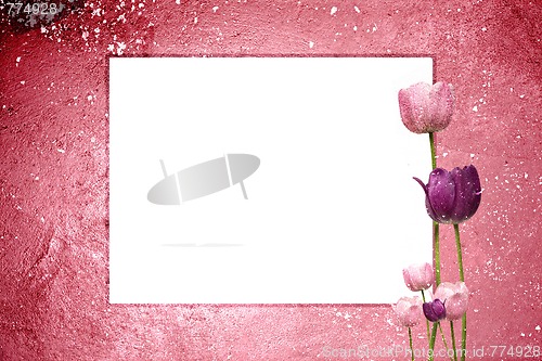 Image of Pink Tulip Grunge