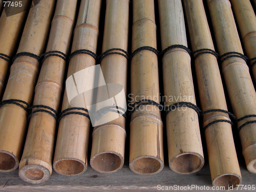 Image of Bamboo Girders