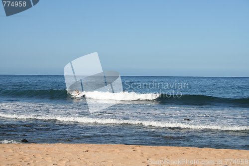 Image of Surfing in Hawaii