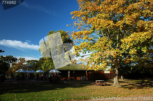 Image of London park