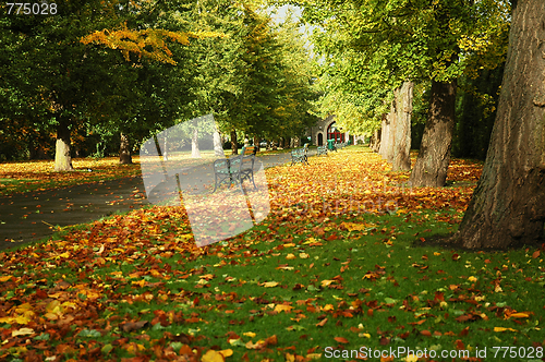 Image of cardiff park