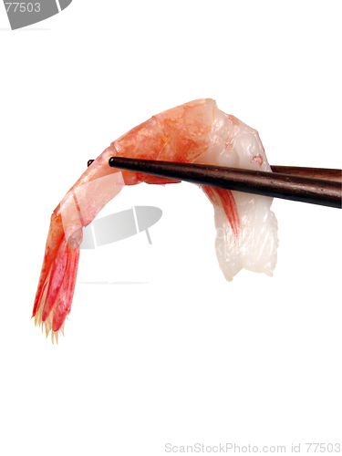 Image of Shrimp in chopsticks