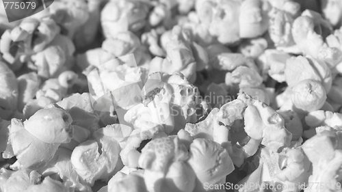 Image of Pop Corn