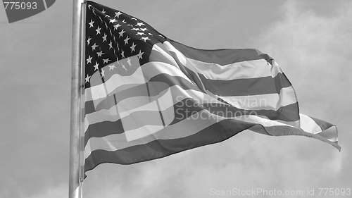 Image of USA flag