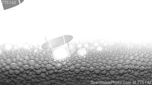 Image of Beer