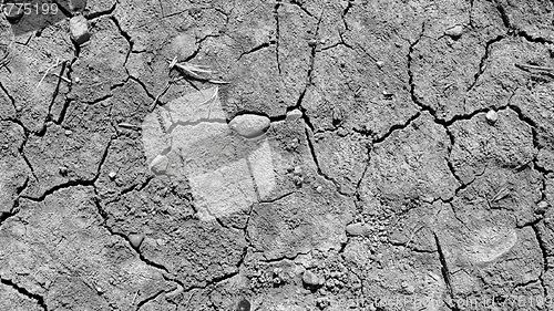 Image of Dry earth