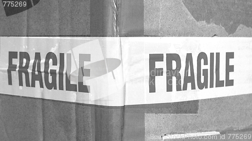 Image of Fragile