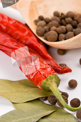 Image of spices and wooden spoon
