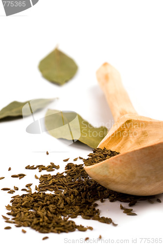 Image of cumin on wooden spoon and bay leaves