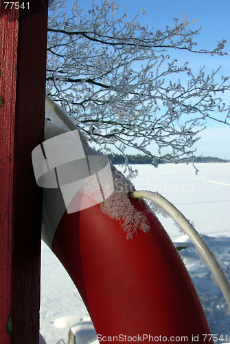 Image of Life buoy