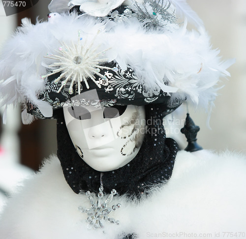 Image of Fluffy Venetian mask