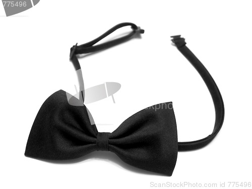 Image of Bow Tie