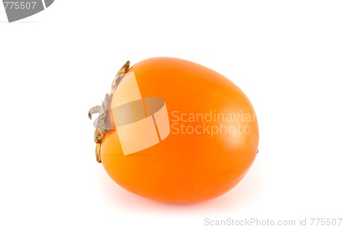 Image of Persimmon