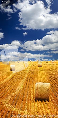 Image of Farm field with hay bales