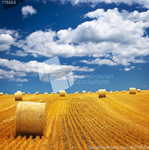 Image of Farm field with hay bales