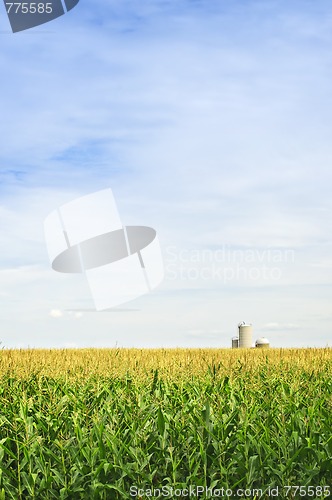 Image of Corn field with silos