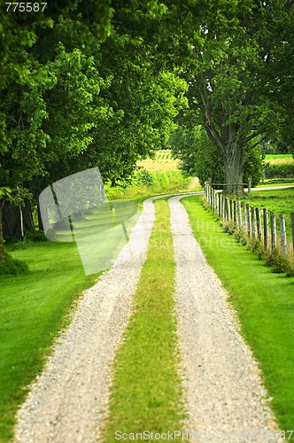 Image of Farm road