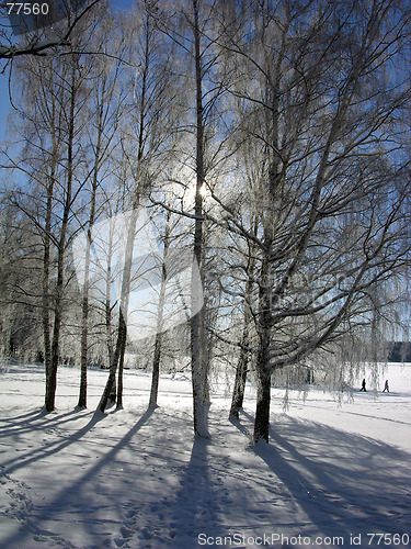 Image of Winterday