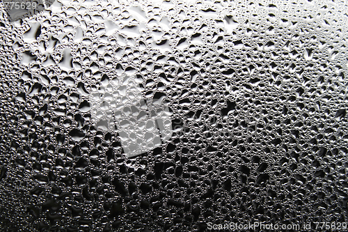 Image of Dewdrops on window glass