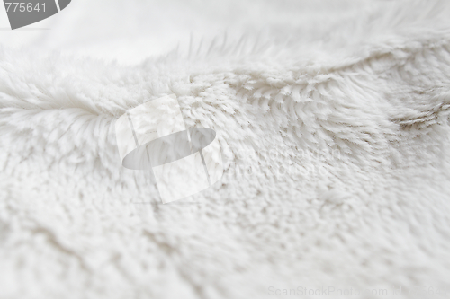 Image of White terrycloth