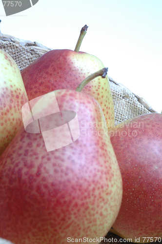 Image of FORELLE pears