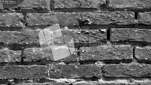 Image of Brick wall