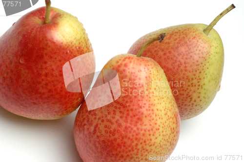 Image of FORELLE pears on white