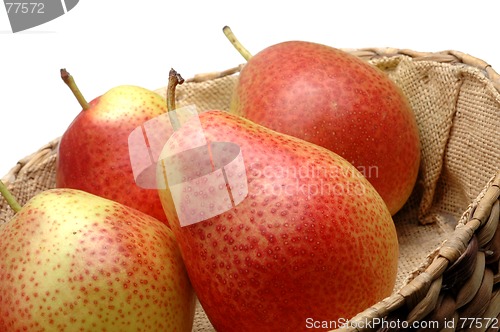 Image of FORELLE pears