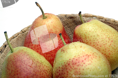 Image of sweet FORELLE pears