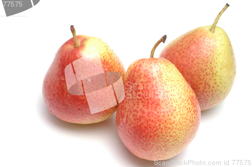 Image of three forelle pears