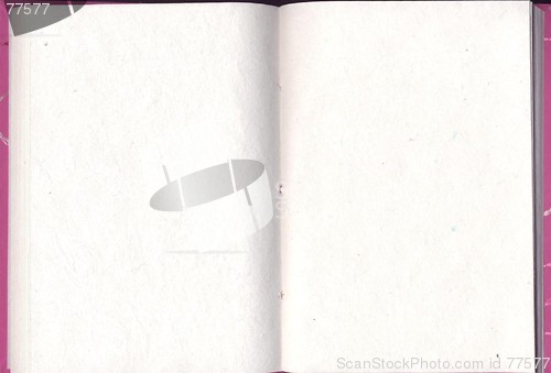 Image of Blank diary pages